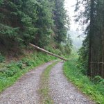 Wanderwoche Zillertal 2023 Tag 5